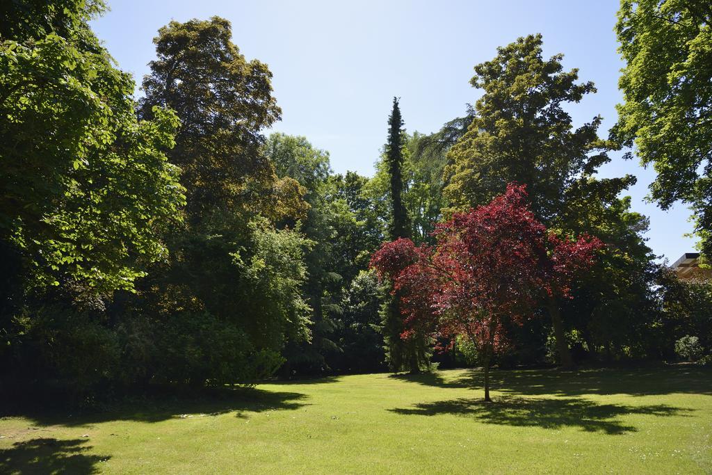 Le Chateau D'Hermonville B&B / Chambres D'Hotes Eksteriør billede